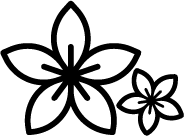 Fleur de bien etre.webp